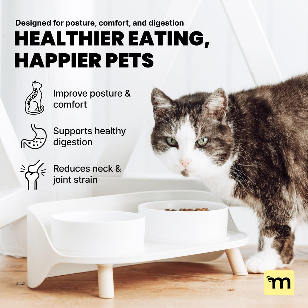 MalsiPree splash guard keeps mealtime tidy and spill-free.