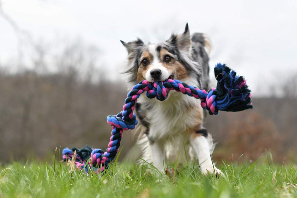 Mammoth Flossy Chews Color Rope Tug designed for large dogs at 31 inches.