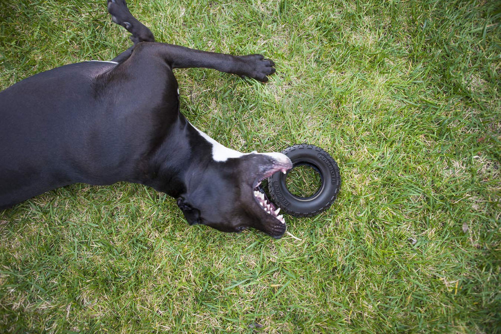 Mammoth TireBiterII durable chew toy designed for tug-of-war and fetch
