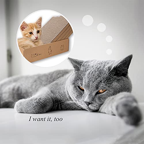 Mankaide cardboard-scratchers with box show value-driven design