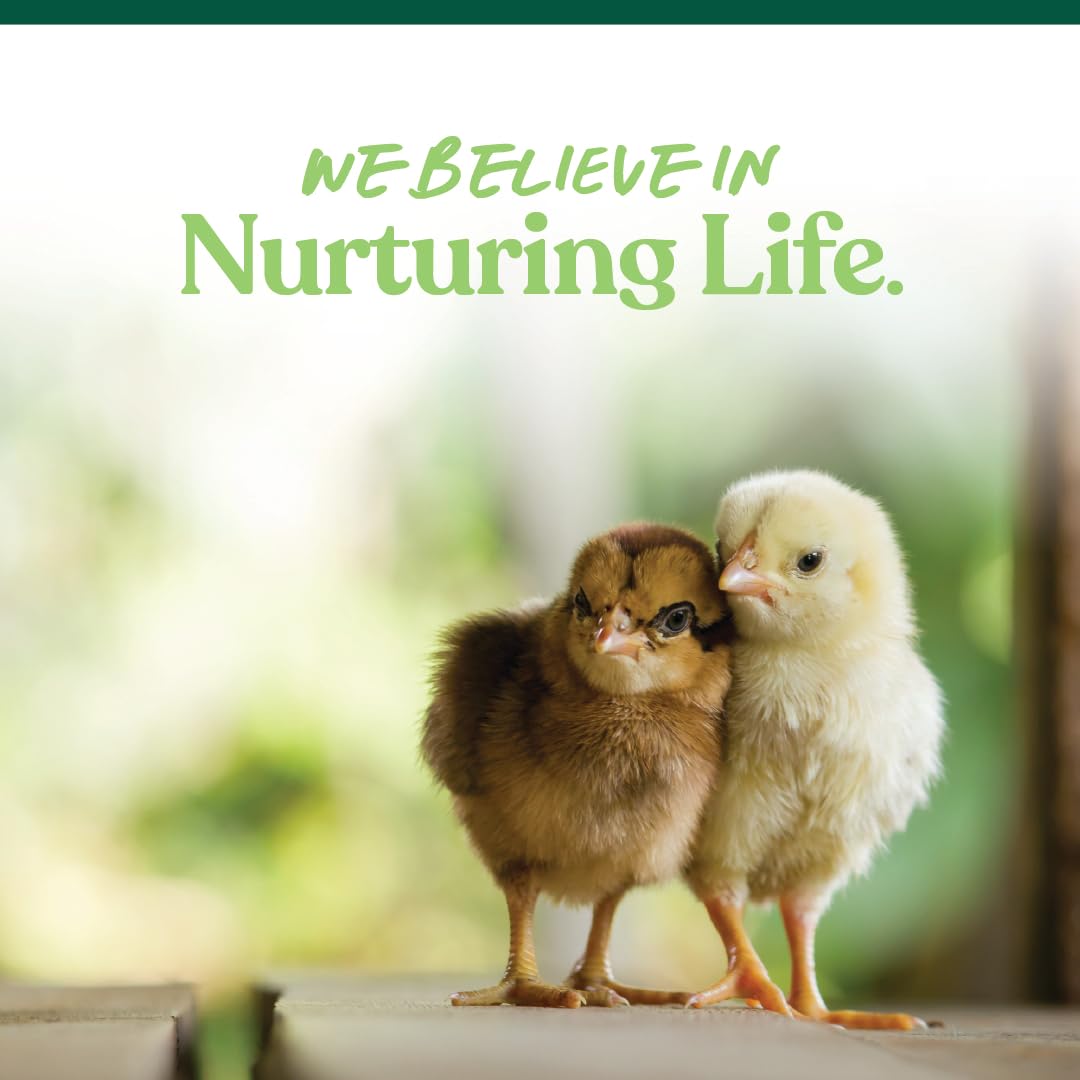 Manna Pro label highlights vitamins and minerals for early chick development.
