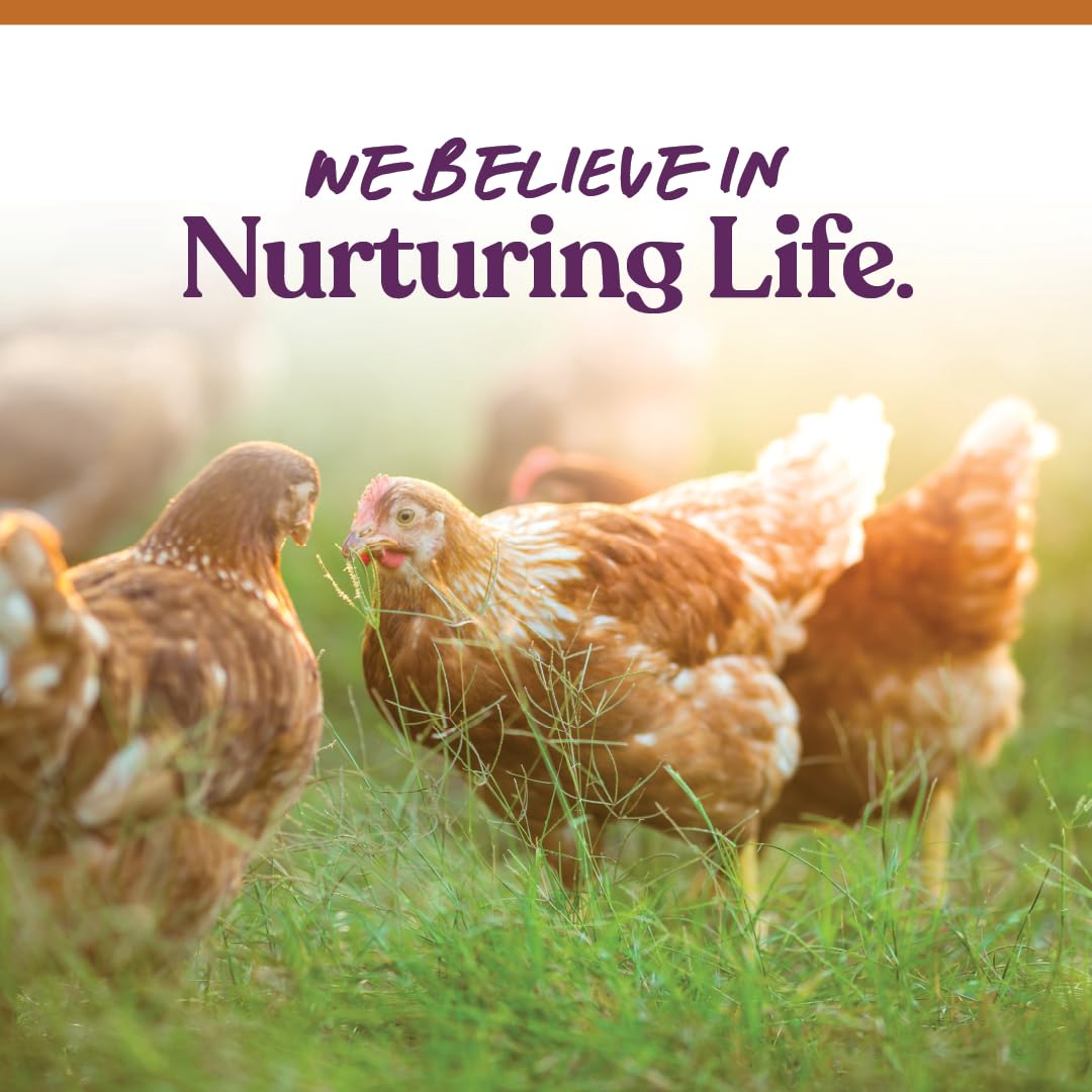 Manna Pro scratch is suitable for mixed flocks including chickens, ducks, geese, and turkeys.