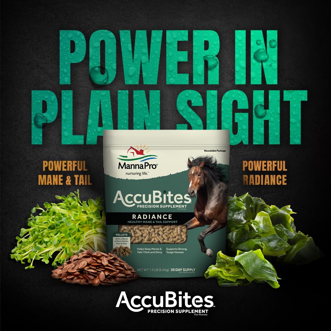 Close-up of AccuBites Radiance with alfalfa flavor, highlighting tasty daily nutrition for horses.
