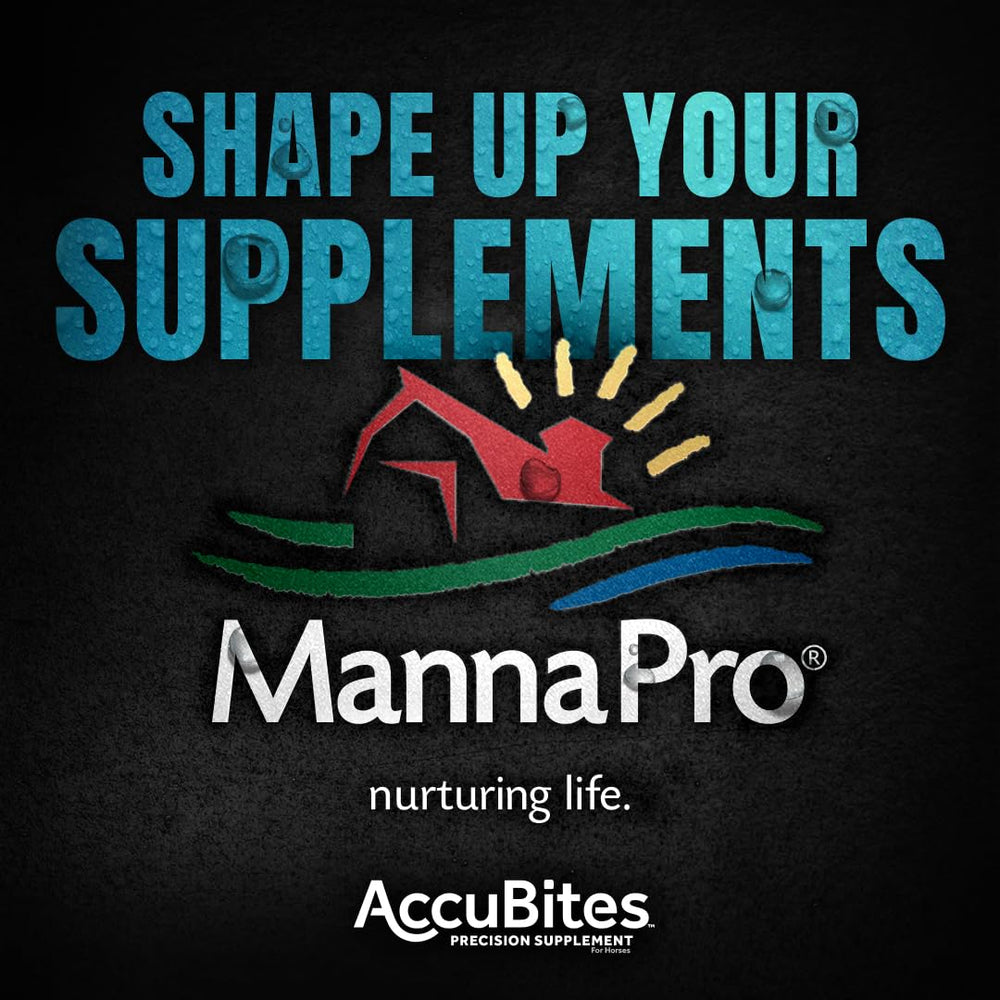 Show-ready mane and tail shine from AccuBites Radiance supplement on horse.