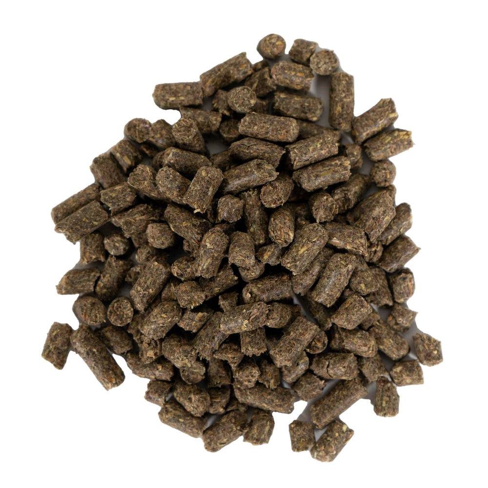 AccuBites Radiance pellets on feed, demonstrating easy top-dress for reliable intake.