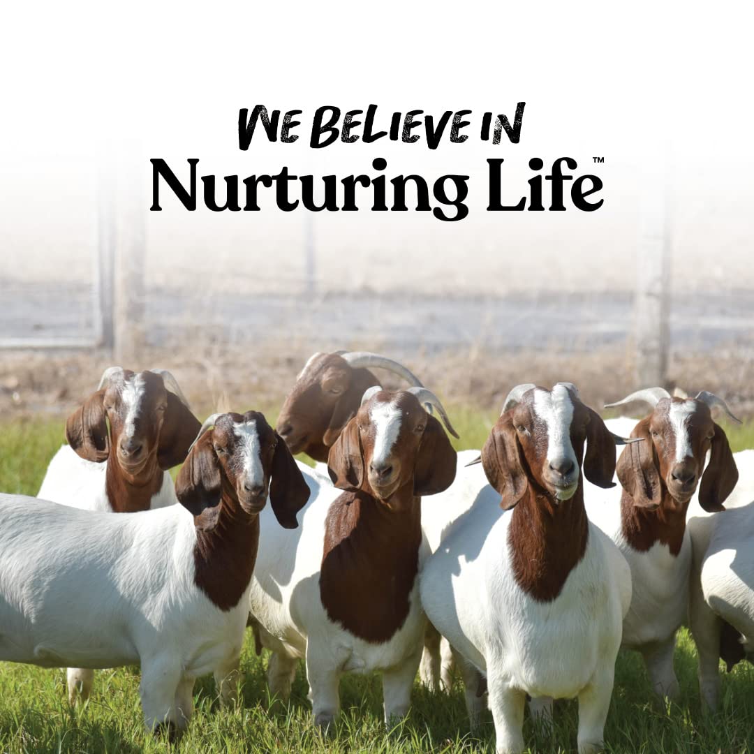 Packaging of the Manna Pro Apple Probiotic Goat Treat six-pack is convenient for home use.
