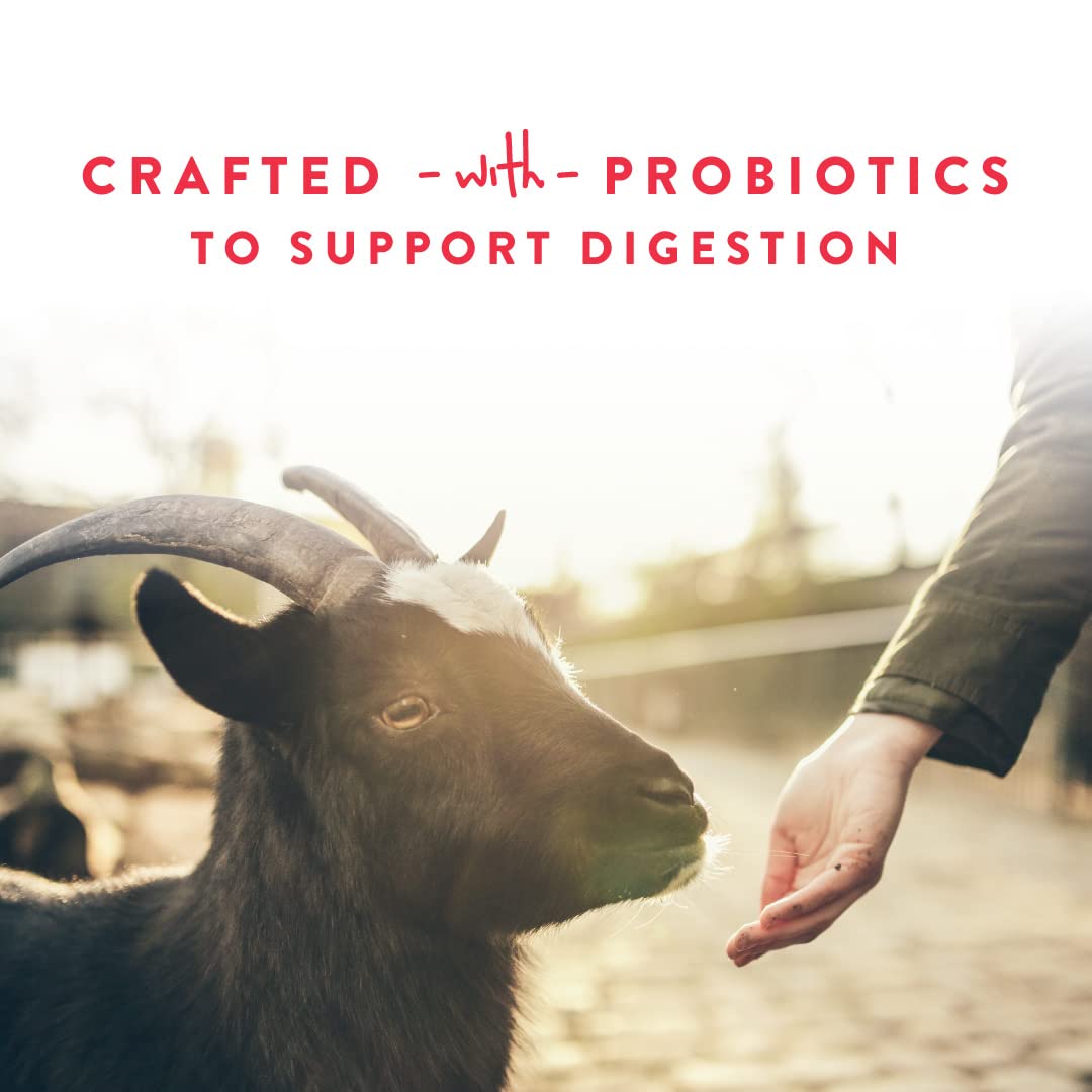 Sheep and goats can share the Manna Pro Apple Probiotic Goat Treat in pasture.