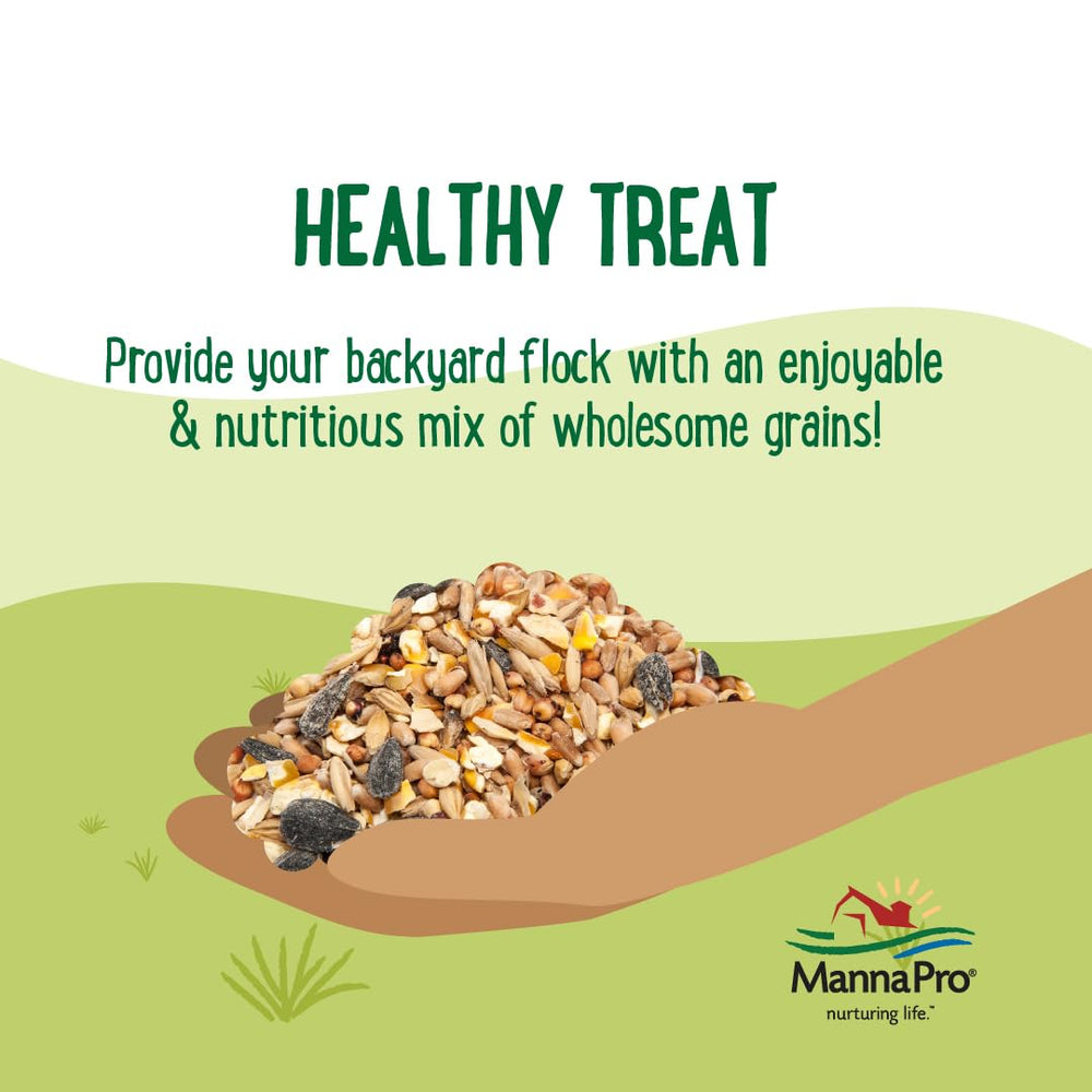 Manna Pro backyards poultry foraging scene promotes activity and enrichment.