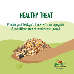 Manna Pro backyards poultry foraging scene promotes activity and enrichment.