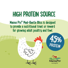 Manna Pro Beetle Bliss in a mixed flock setting illustrates versatile use.