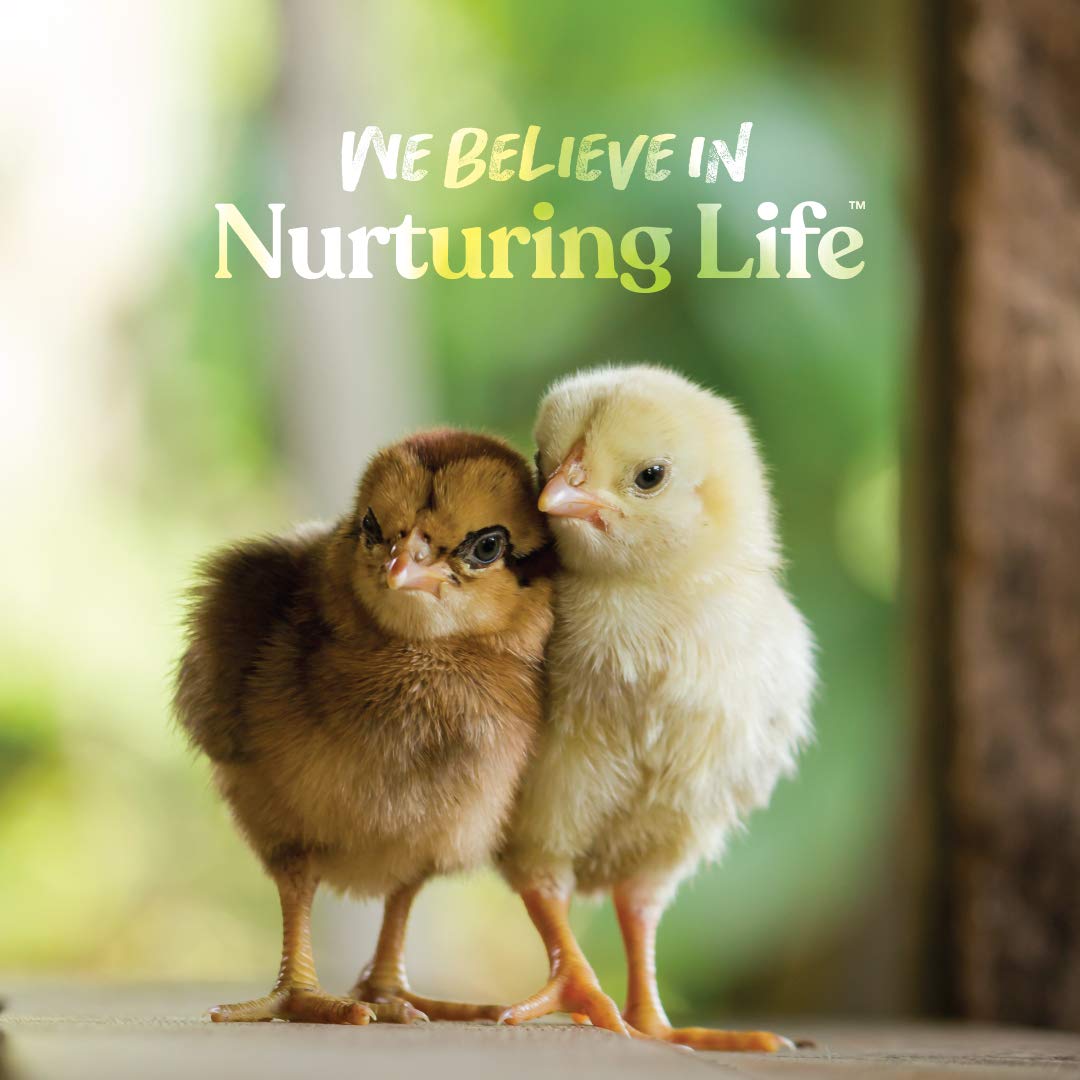 Manna Pro Chick Grit bantam poultry image highlights growth-friendly nutrition.