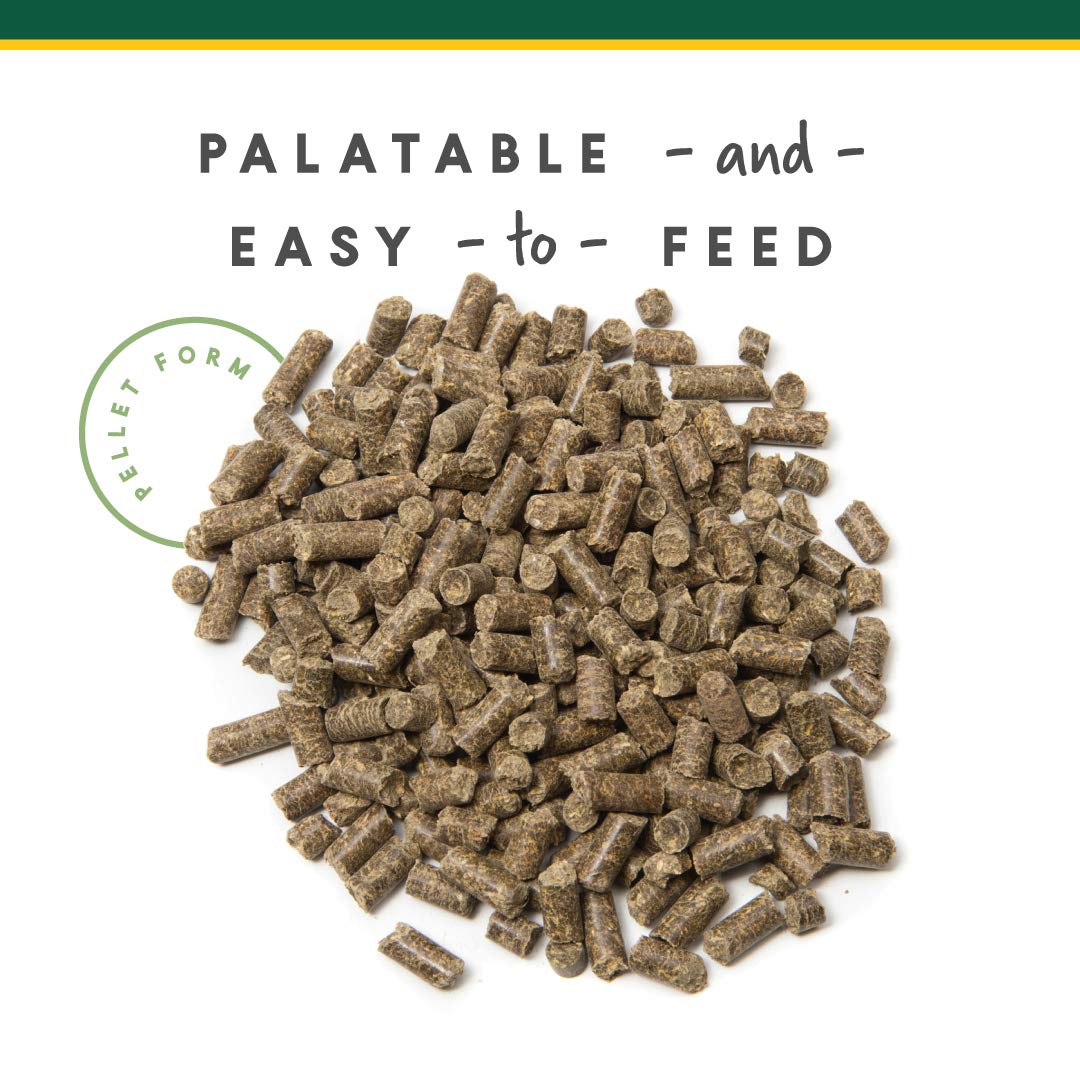 Close-up of product label emphasizing calcium and magnesium ingredients.