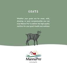 Manna Pro Hoof-Heal label close-up highlighting packaging and all-weather formula