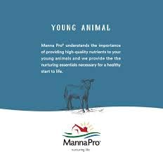 Manna Pro Hoof-Heal in use showing moisturizing benefits for dry hooves