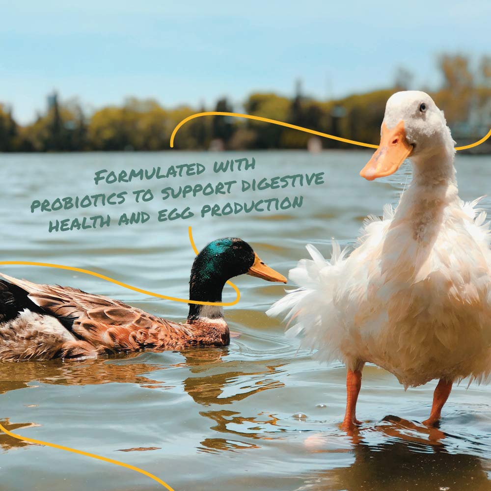Manna Pro Duck Layer Pellet shows eggshell strength and consistent laying potential