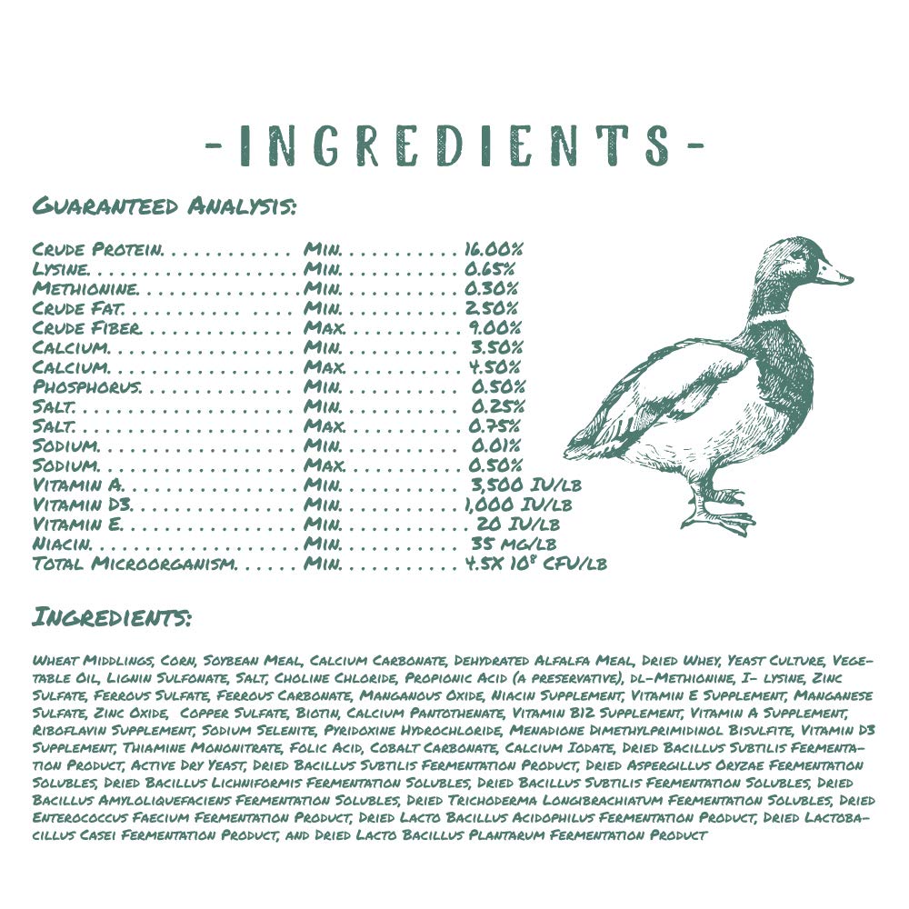 Manna Pro Backyard ducks use pellets for steady laying nutrition