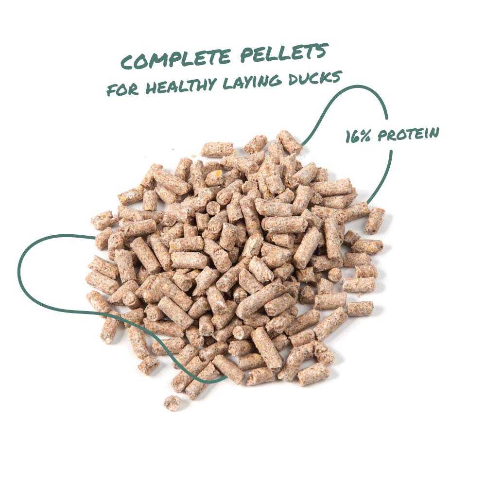 Manna Pro Duck Layer Pellet probiotic blend supports digestive health