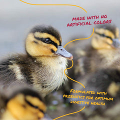 Manna Pro Duck Starter Grower crumble texture ideal for easy feeding