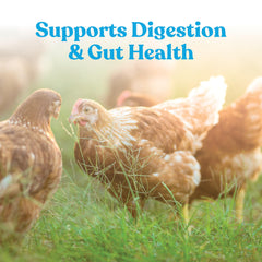 Includes acidifier to aid nutrient absorption in the gut