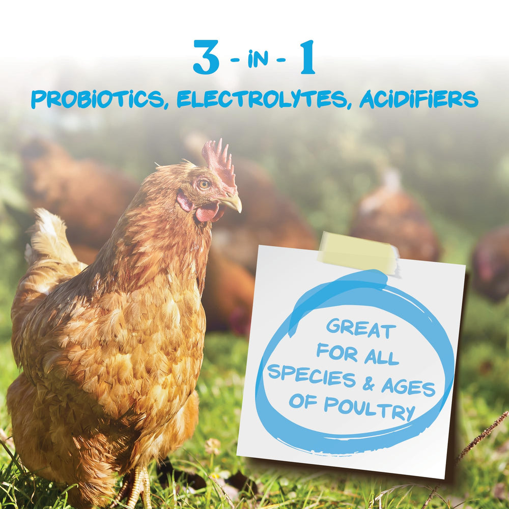 Safe for chickens, ducks, turkeys, geese, and other birds to support digestion