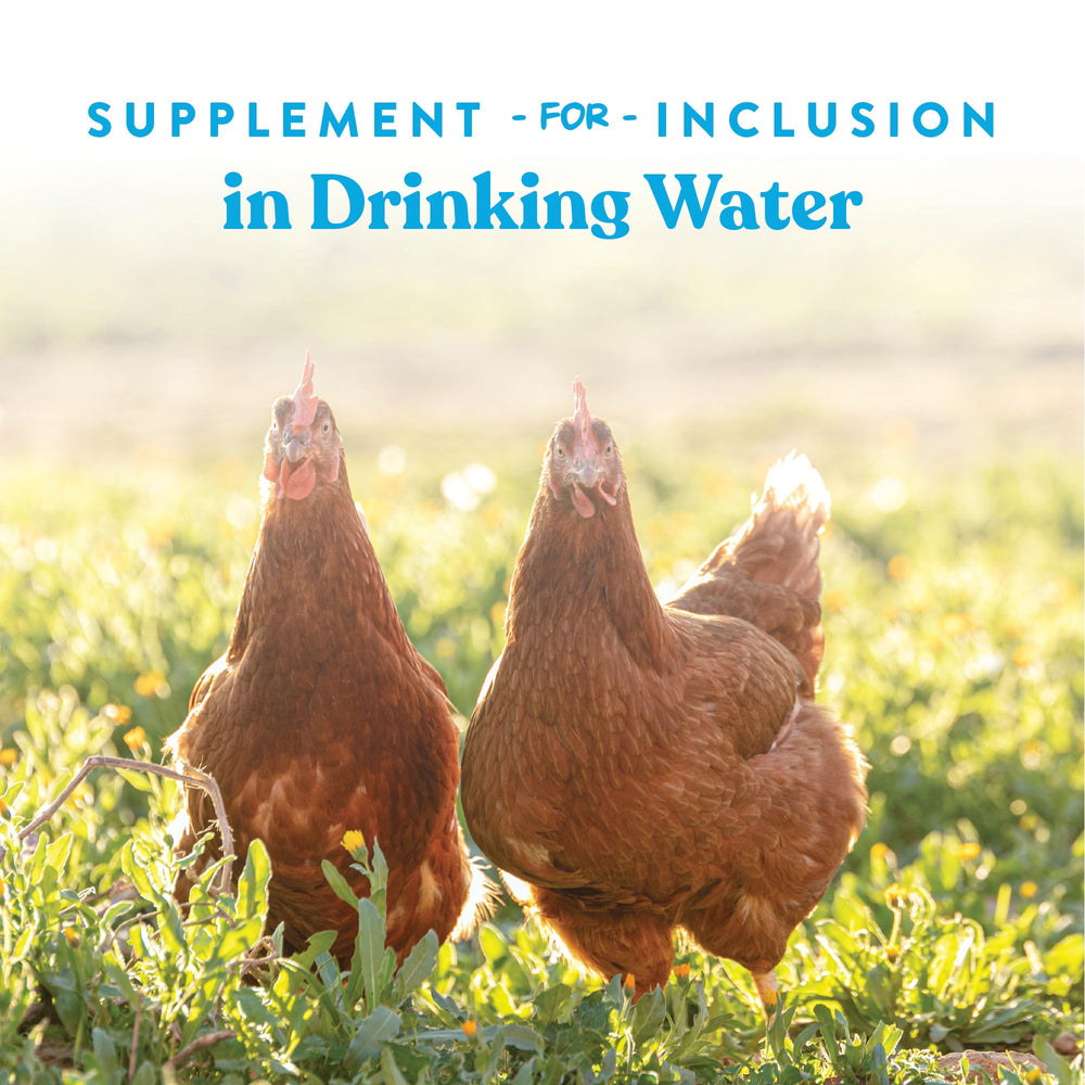 Easily mixed with water for quick hydration in busy days