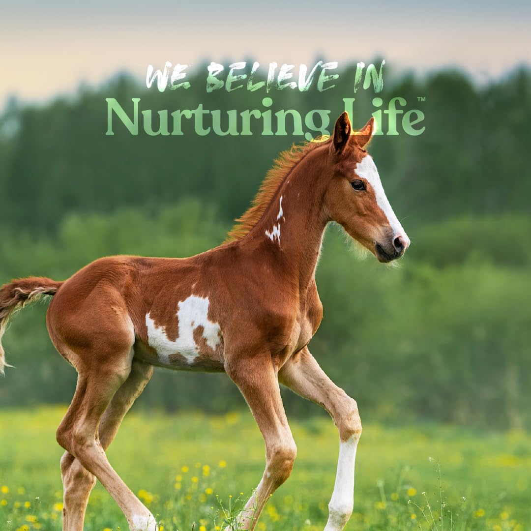 Manna Pro Nurse All Opti-Gut probiotics-label communicates gut-friendly ingredients for digestion support.