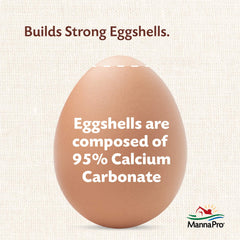 Natural calcium source supporting strong eggshell formation for healthier eggs.