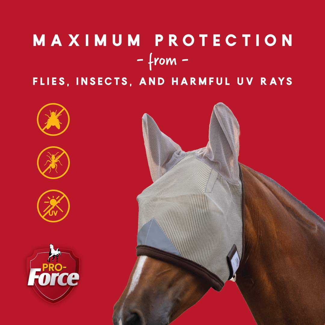 EquiGlo Reflector on Manna Pro mask improves visibility at dusk.