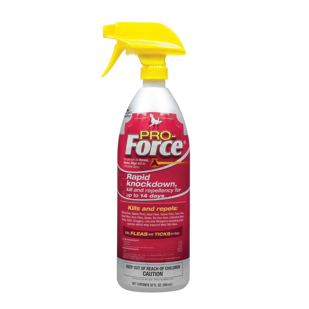 Manna Pro Pro-Force fly spray bottle front view for quick pest relief.