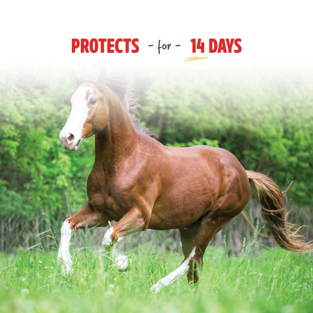 Manna Pro Pro-Force fly spray for dogs helps control pests.