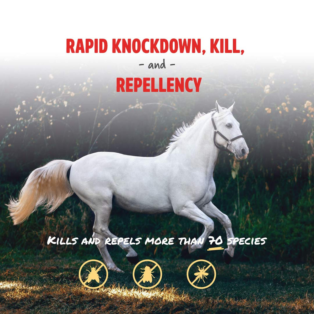 Manna Pro Pro-Force fly spray on horse back for even coverage.
