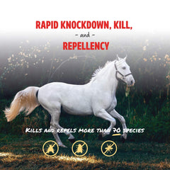 Manna Pro Pro-Force fly spray on horse back for even coverage.