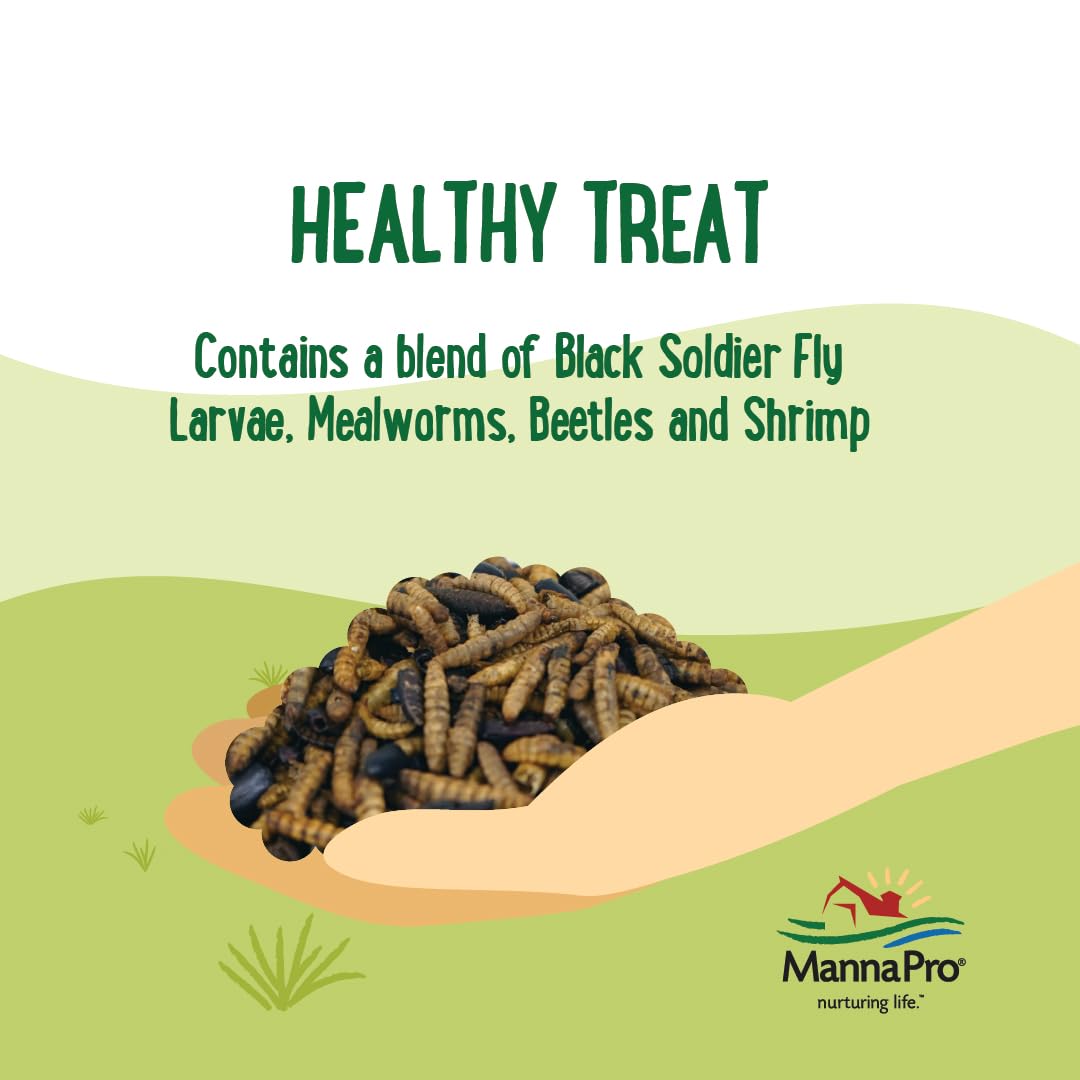 Manna Pro Quirky Quatro Crunch enrichment through varied textures for backyard birds.
