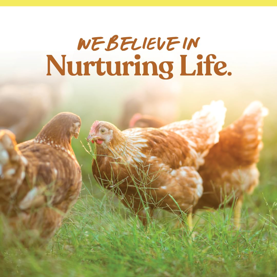 Manna Pro packaging showcases quality for backyard flocks.
