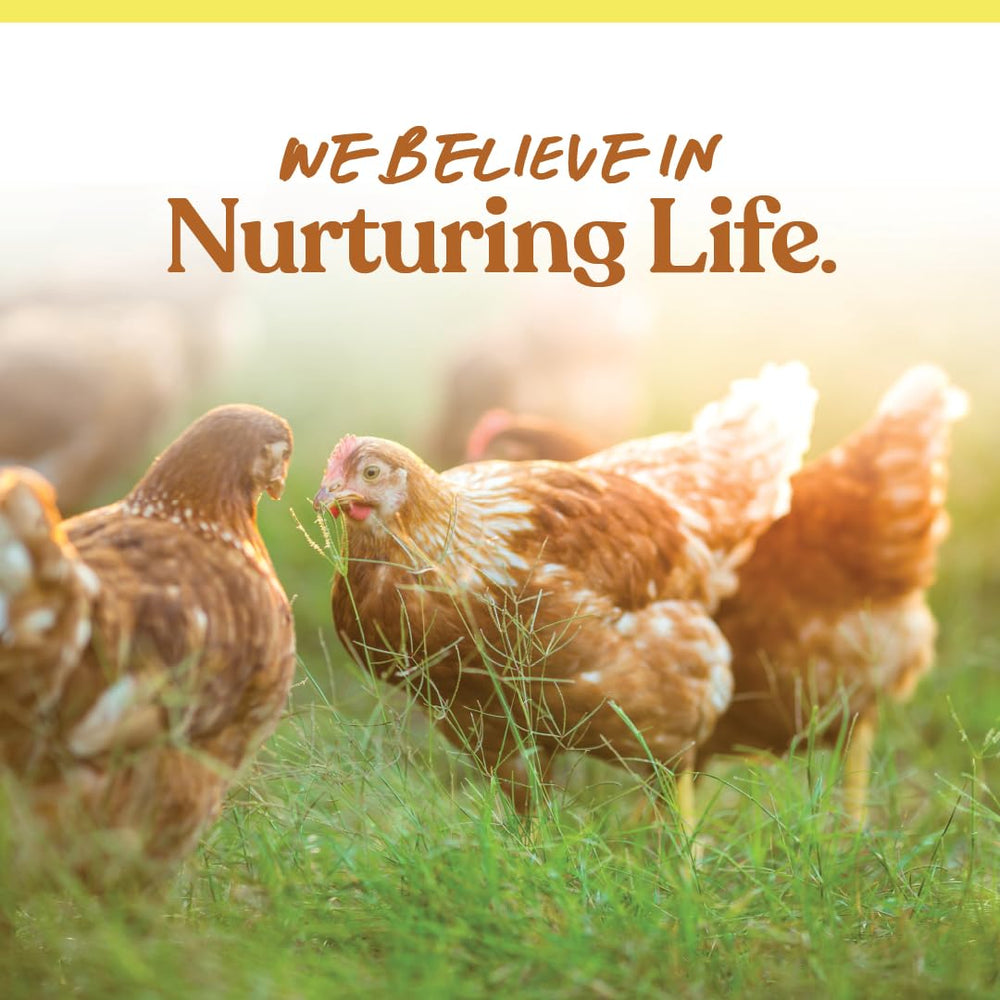Manna Pro packaging showcases quality for backyard flocks.