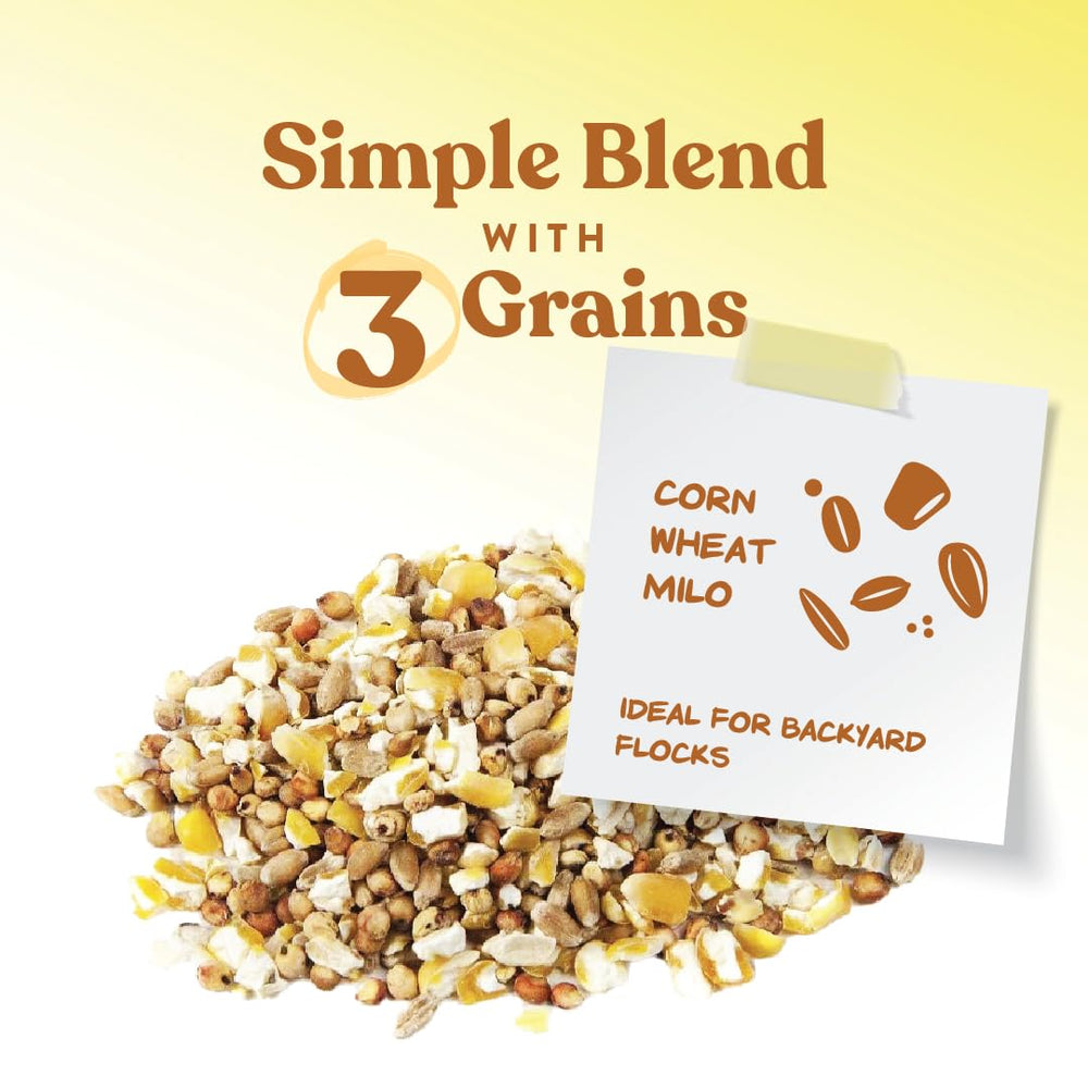 Close-up of corn, milo, and wheat in Manna Pro Ultimate Chicken Scratch Feed.