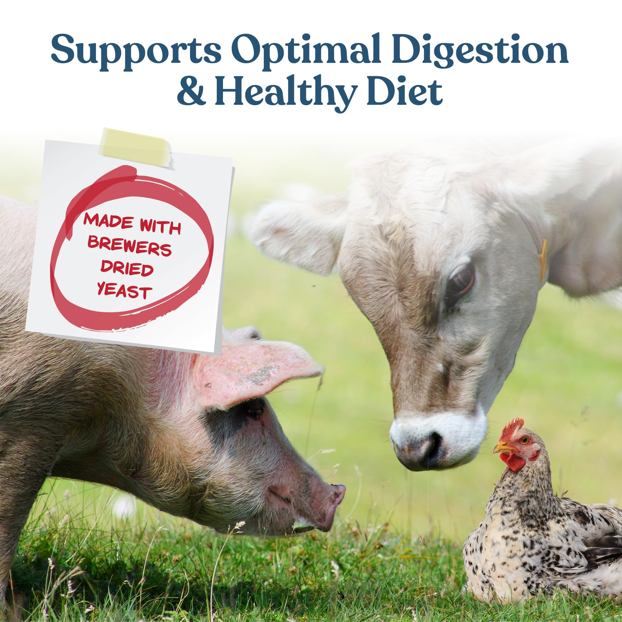 Manna Pro Calf-Manna at chicken feeder supports flock nutrition.