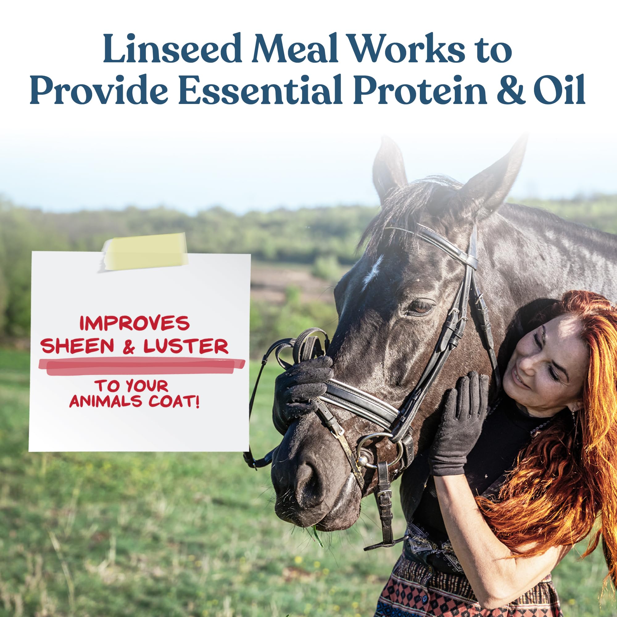 Manna Pro Calf-Manna feeding horse boosts daily energy and performance.