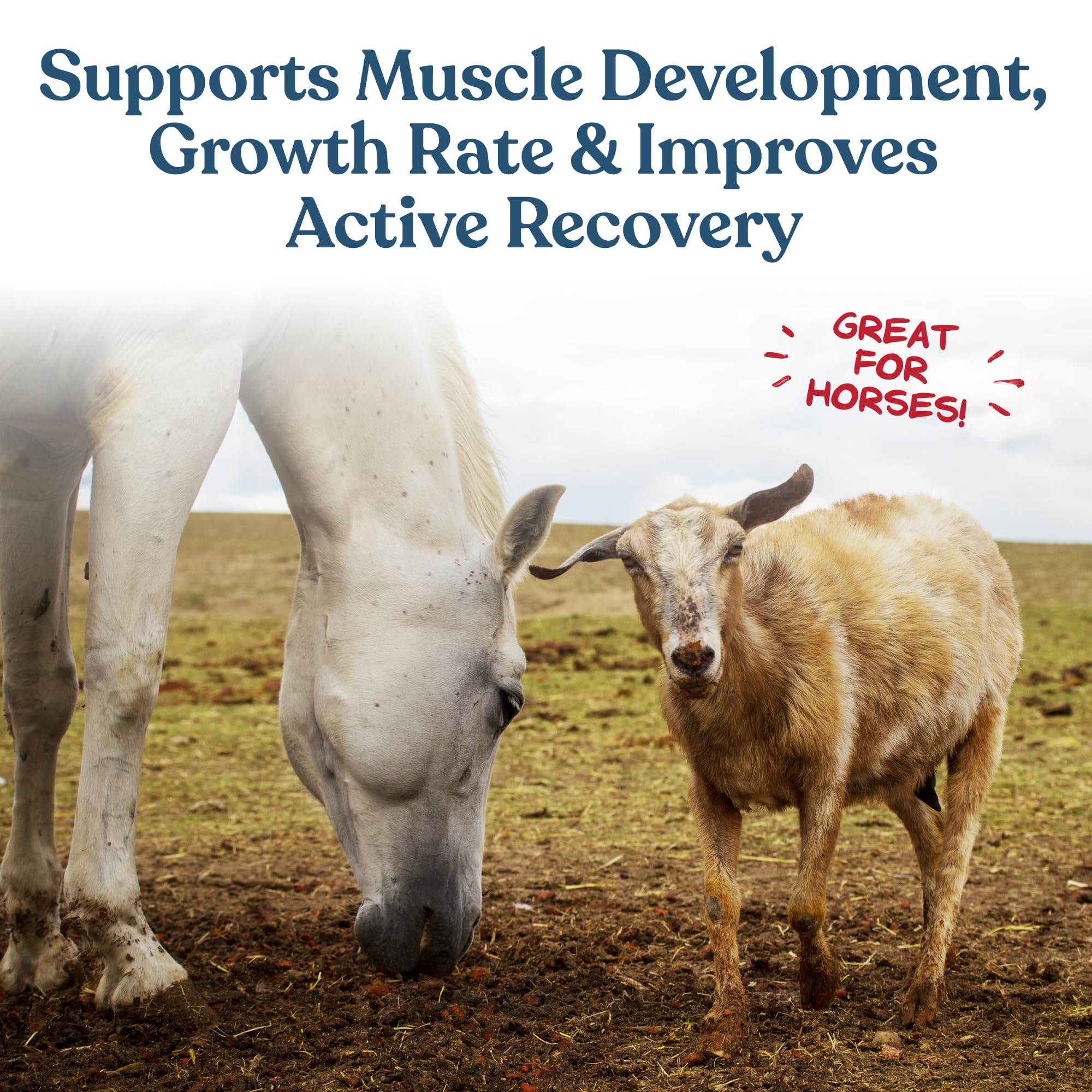 Manna Pro Calf-Manna enjoyed by rabbits and aids digestion.
