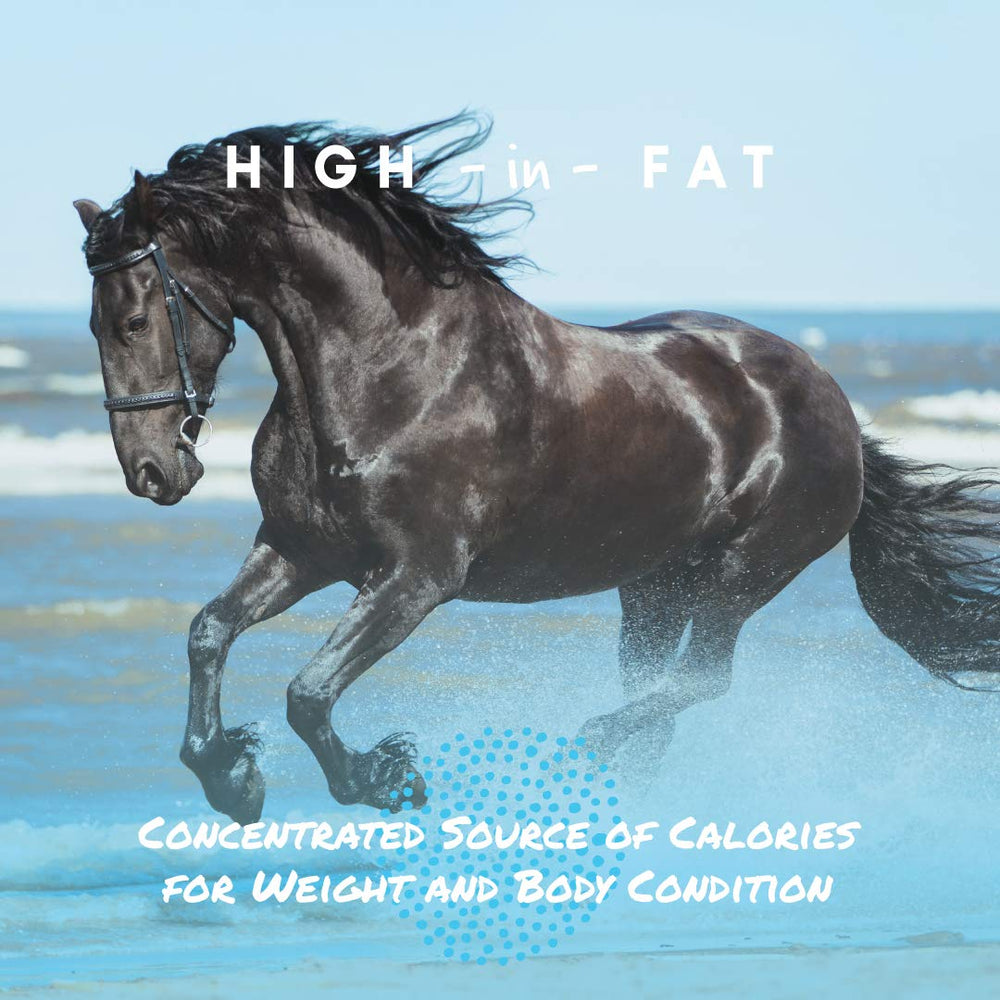 Manna Pro Cool Calories 100 coat gloss result with healthy fats.