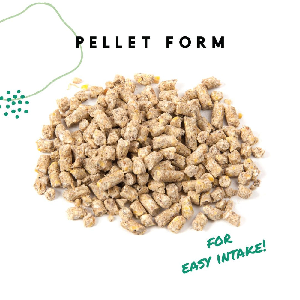 Manna Pro Layer Pellets calcium shell support closeup emphasizes strong eggshell potential