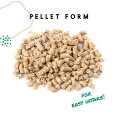 Manna Pro Layer Pellets calcium shell support closeup emphasizes strong eggshell potential