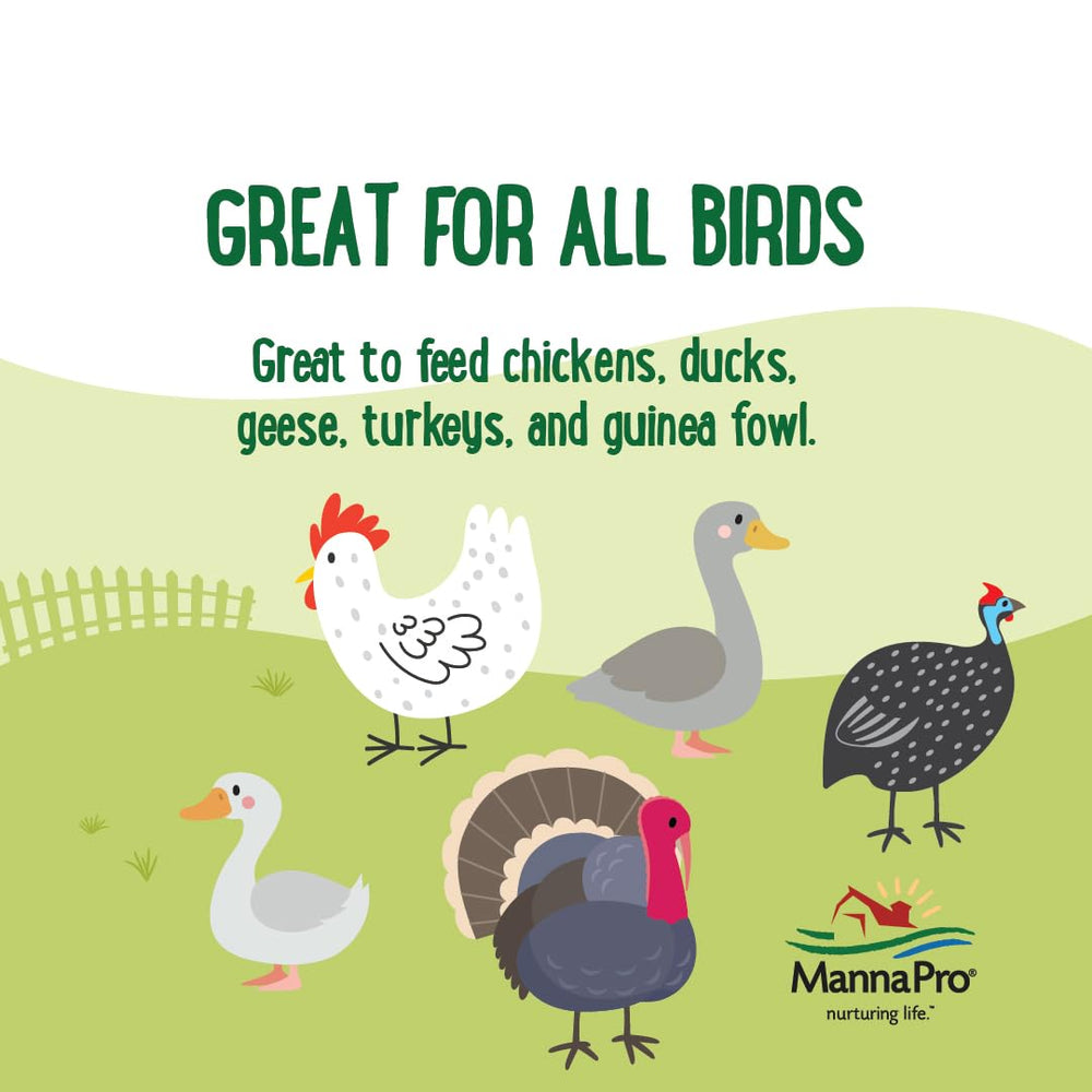 Manna Pro Beetle Bliss high-protein poultry snack for daily use