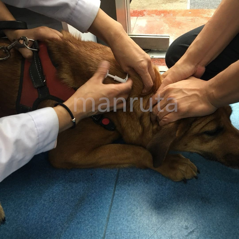 Manruta easy placement and secure identification for pets