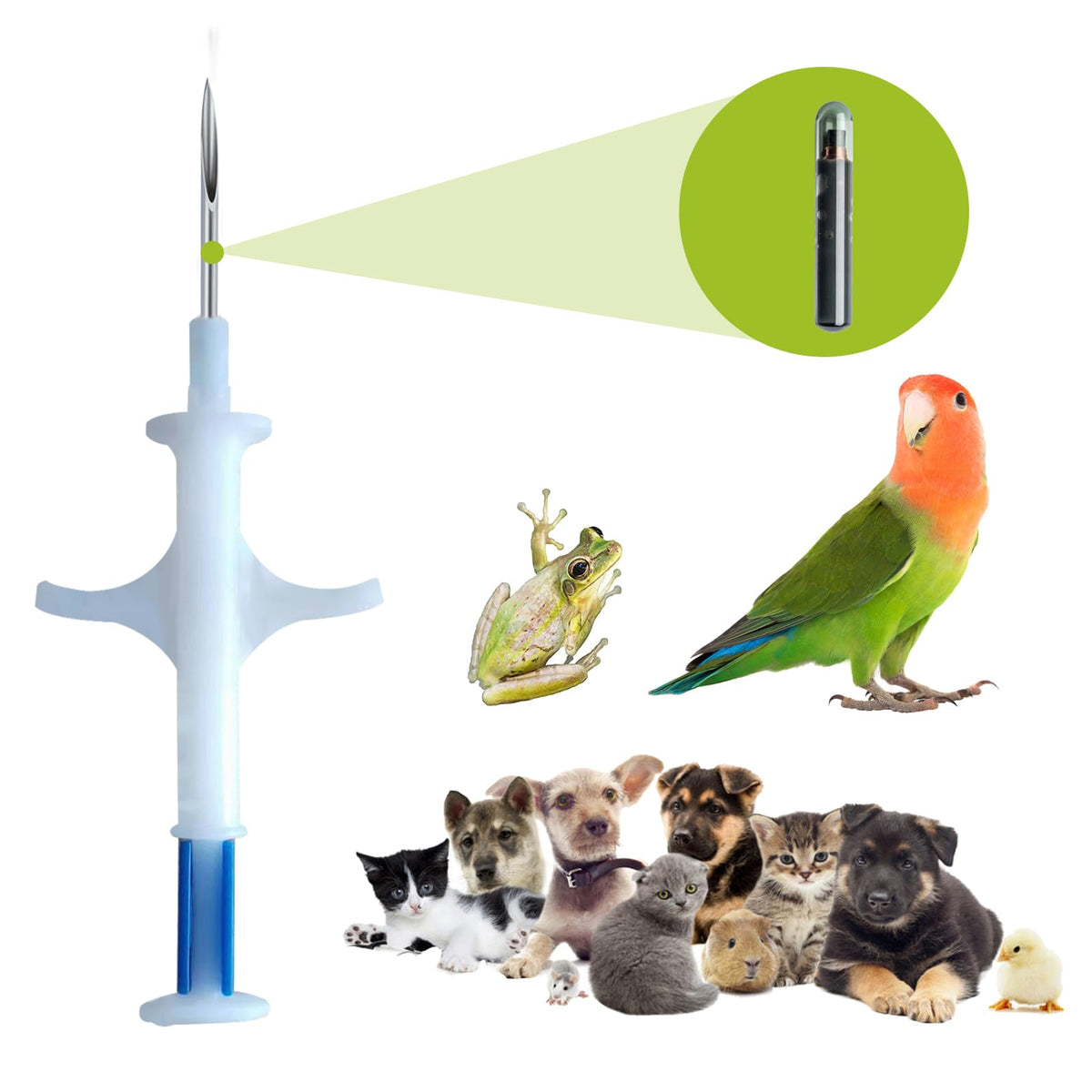 Manruta ISO Pet ID microchips 20-pack, ready for quick deployment.