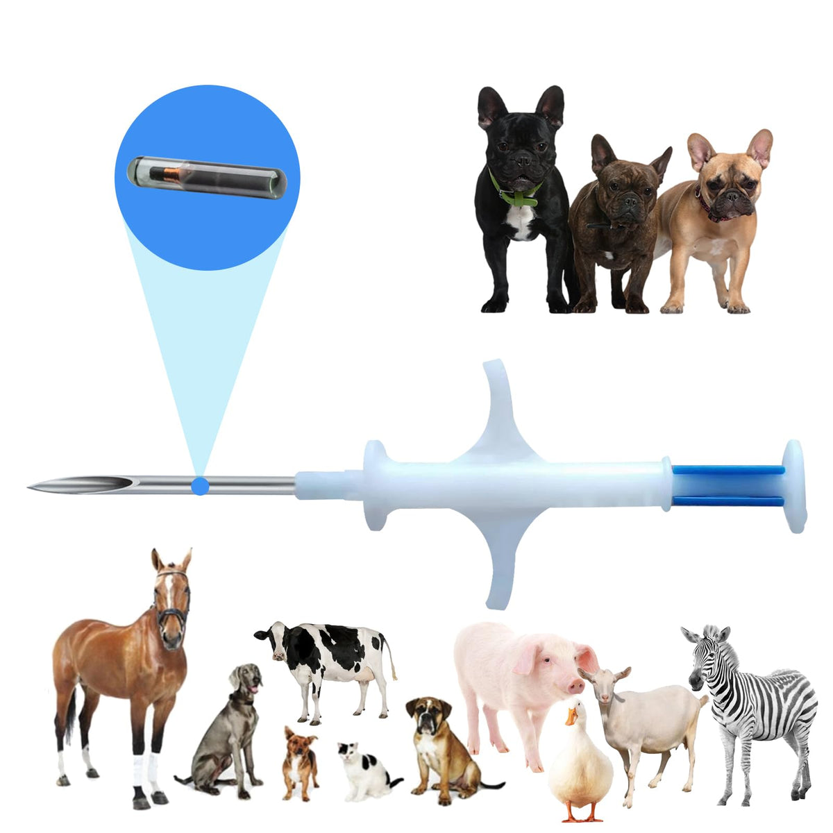 Manruta microchip for dogs and cats ready for syringe implantation.