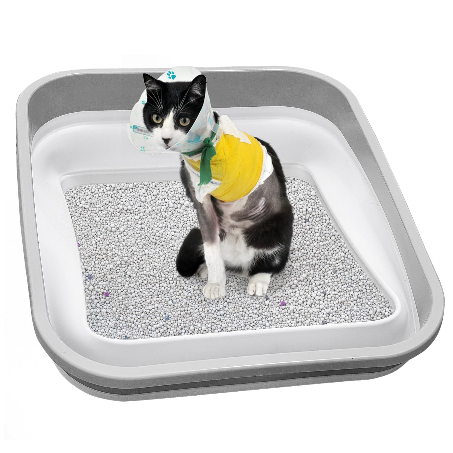 Maohegou senior cat litter box with low entry for easier access and comfort.