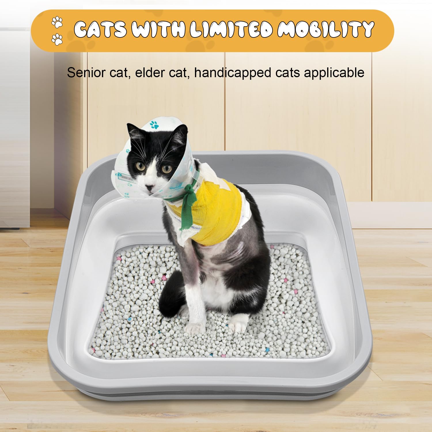 Maohegou three-legged cat accessible design supports gentle, indoor use.