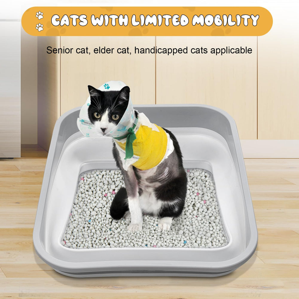 Maohegou three-legged cat accessible design supports gentle, indoor use.