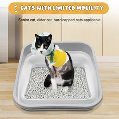 Maohegou three-legged cat accessible design supports gentle, indoor use.